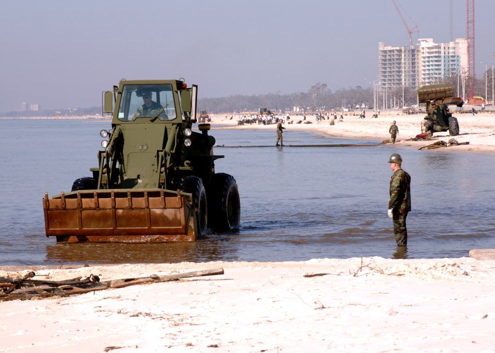 Volunteers at a beach cleanup
