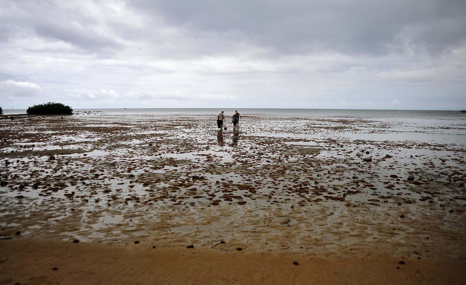Volunteers at a beach cleanup