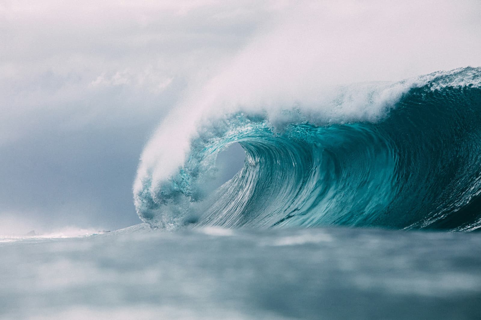 Outreach Event: King Tides