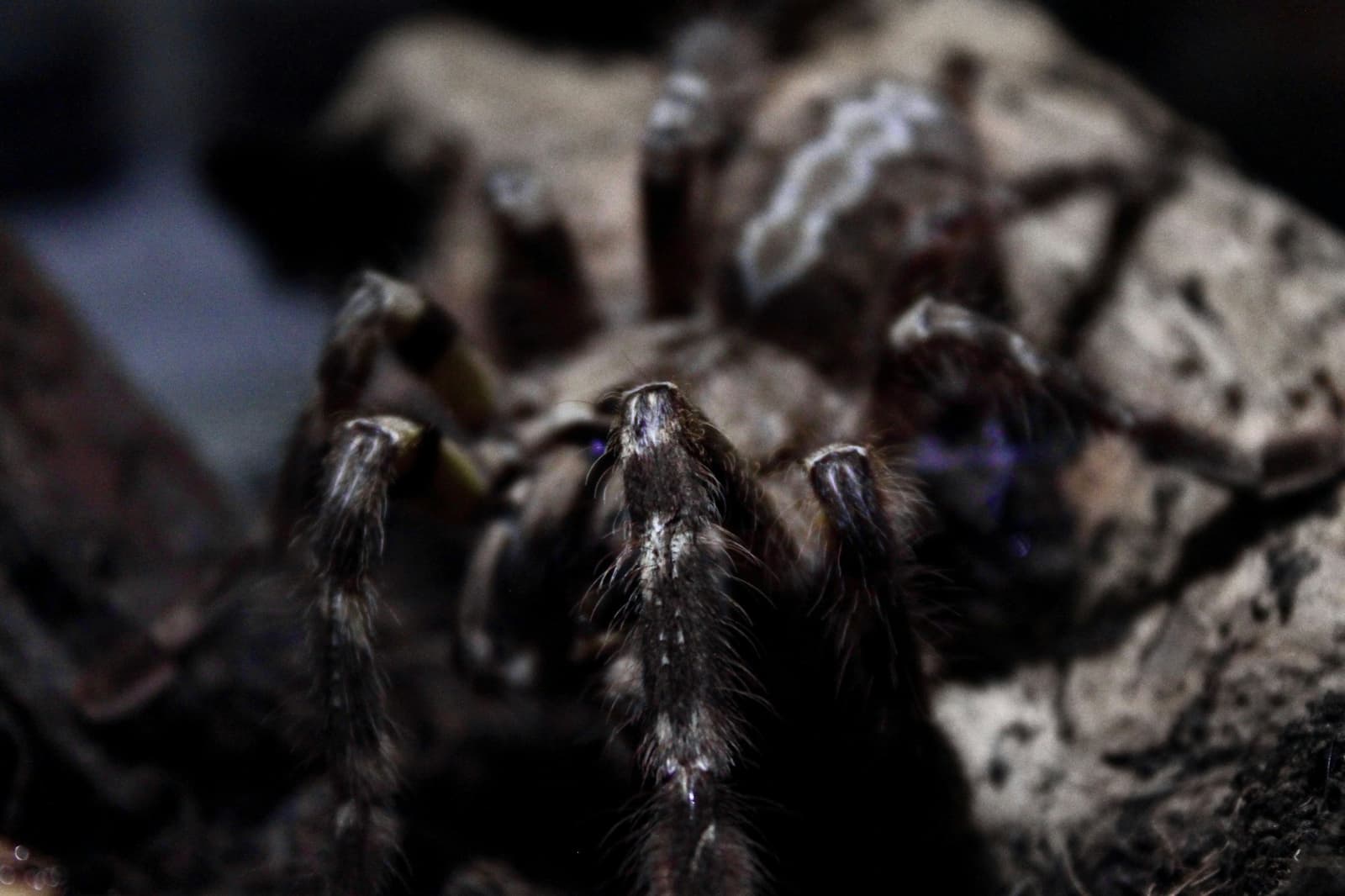 Science Saturday: Spooky Science