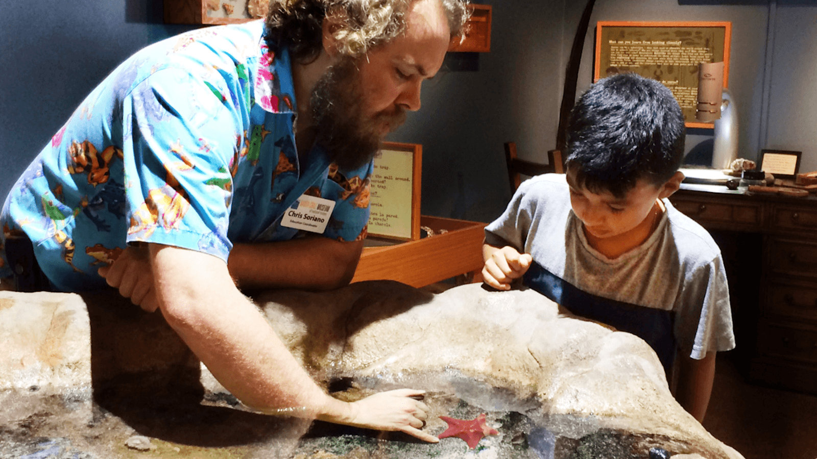 Free Admission Day