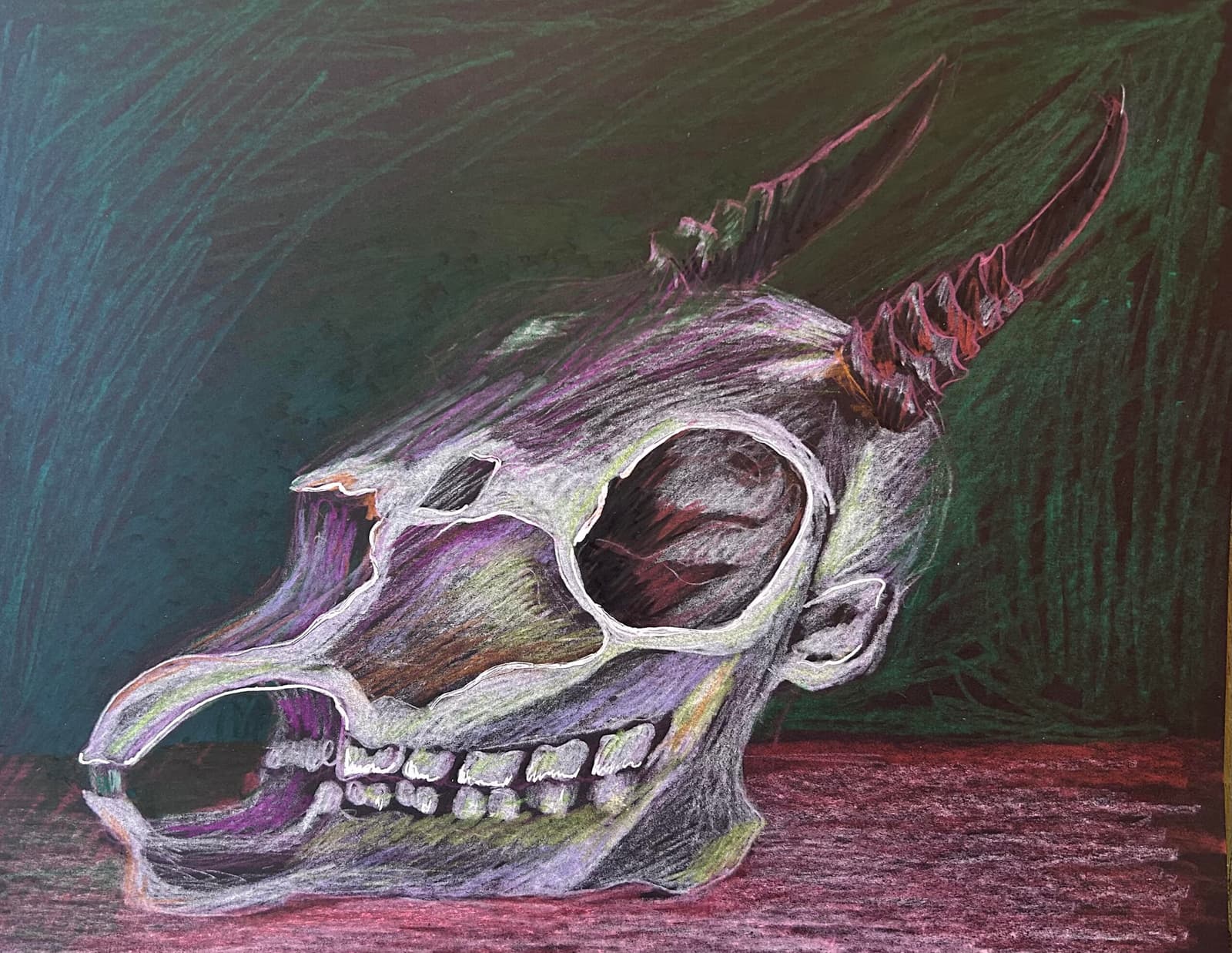 Sip & Sketch: Skull Illumination