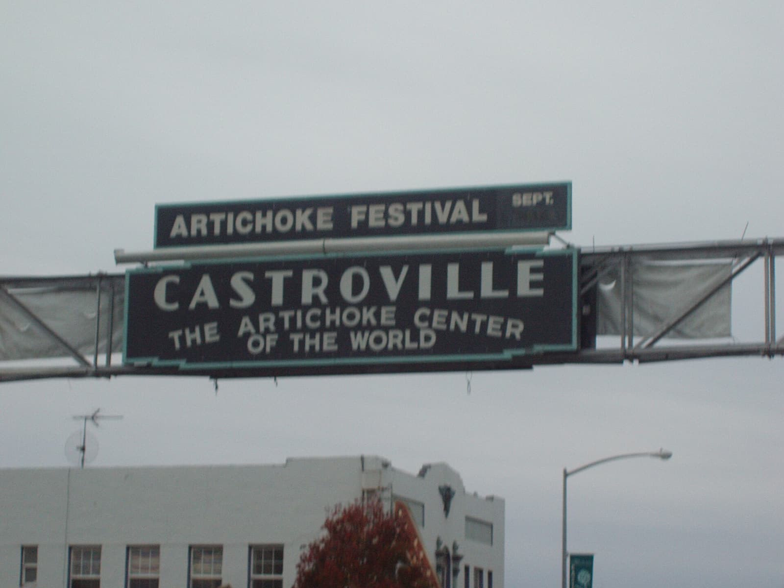 Artichoke fields near Castroville