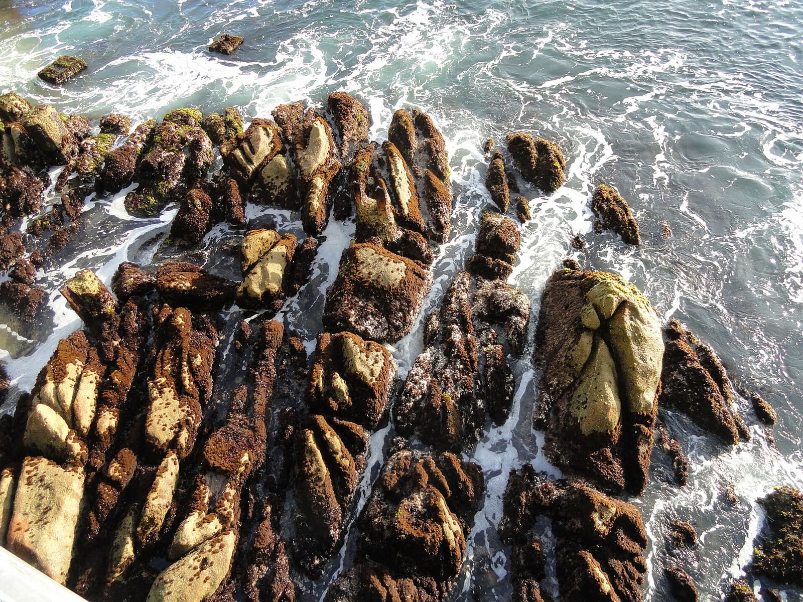Monterey waterfront